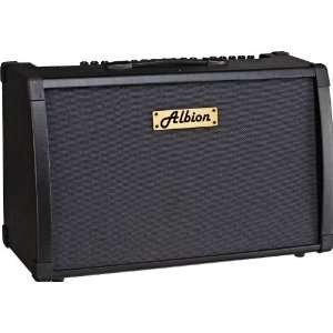  Albion Amplification Ag Series Ag80dfx 80W Guitar Combo 