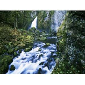  Tanner Creek Falls, Columbia River Gorge National Scenic 