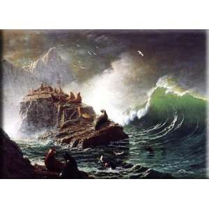  Seals on the Rocks, Farallon Islands 30x21 Streched Canvas 