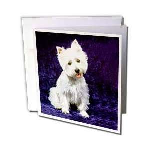  Dogs West Highland Terrier   Westie   Greeting Cards 12 