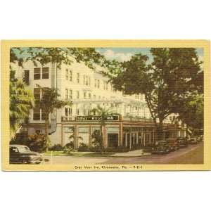   Vintage Postcard Gray Moss Inn Clearwater Florida 