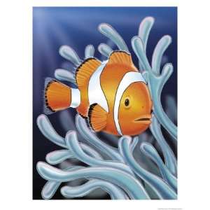  A Clown Fish Swimming by Sea Anemones Premium Poster Print 