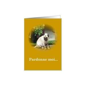  Pardonne moi   Apology Card in French Card Health 