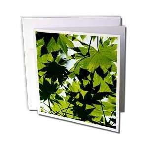  Ann Euell Trees   Summer in Newport   Greeting Cards 6 