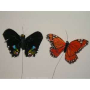    Feathered Assorted Butterflies (1 Orange 1 Black) 