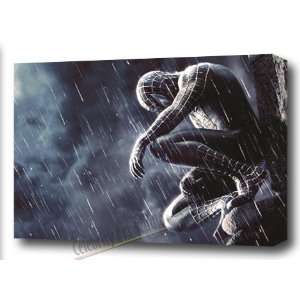    SPIDERMAN 3 DARK GALLERY WRAP CANVAS ART 30X20