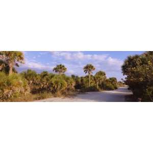   , Venice, Sarasota County, Florida, USA by Panoramic Images , 36x12