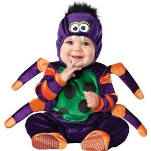 In Character Costumes 198731 Itsy Bitsy Spider Infant  Toddler Costume