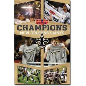  2010 Super Bowl   Celebration   Poster (22x34)