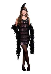 All That Jazz Flapper Junior Costume S (3 5) Dreamgirl 6575  