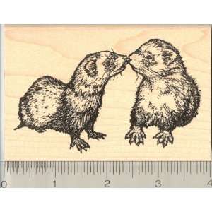  Cocoa and Tango Kiss Ruber Stamp Arts, Crafts & Sewing