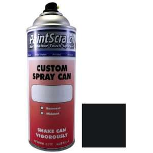  12.5 Oz. Spray Can of Black (trim) Touch Up Paint for 2010 