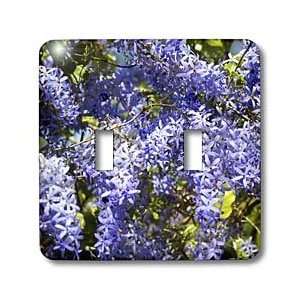 Florene Flowers   Closeup Purple Flower Tree   Light Switch Covers 