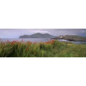 Doulus Bay and Doulus Head, Valentia Island, Ring of Kerry, Munster 