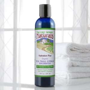  Hydration Plus Organic Tea Tree Citrus Shampoo Beauty