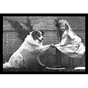  Girl Shaking Hands with Dog   20x30 Gallery Wrapped Canvas 