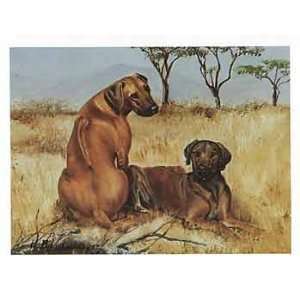  Rhodesian Ridgebacks in Field Notecards 