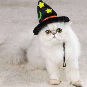  Witch Hat for Cat