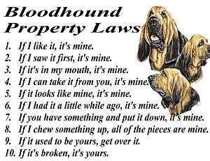PARCHMENT PRINT  BLOODHOUND HUNTING DOG PROPERTY LAWS  