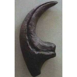  Allosaurus Claw Replica 