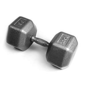  Pro Hex Dumbbell with Cast Ergo Handle   Grey 95 lb 