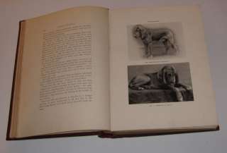 1893   KENNEL SECRETS   Breed / Manage / Exhibit DOGS  