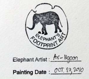 RED BLACK  ORIGINAL Elephant Artist Footprint Art +DVD SHOW  1180 