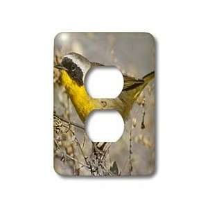   Bay Reserve,California   Light Switch Covers   2 plug outlet cover