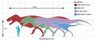 Dinosaur Fossil Tyrannosaurus rex Tooth NICE ckp1833  