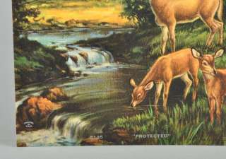 Vintage G.B. Fox Protected Deer Stream Landscape Print R Atkinson 