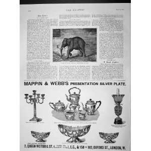  1893 RAJAH ROYAL TUSKER ELEPHANT MANIPUR MAPPIN WEBB