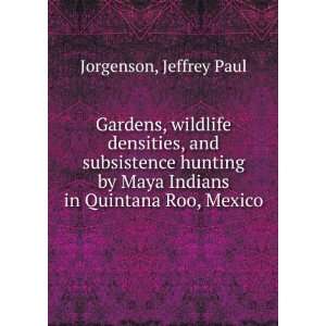   by Maya Indians in Quintana Roo, Mexico Jeffrey Paul Jorgenson Books