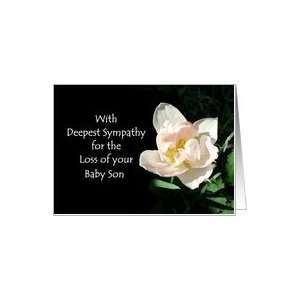  Loss of a Baby Son Sympathy Card   Pink Tulip Card Health 