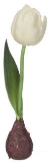 This set of 12 artificial white tulip bulbs make a beautiful addition 