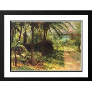   38x28 Framed and Double Matted Tropical Landscape