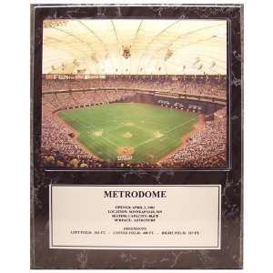  MLB Twins / Metrodome Stadium Plaque