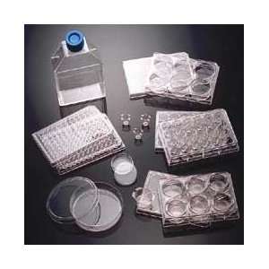   Plates w/ Poly D Lysine/Laminin   BD BioCoat Cellware, BD Biosciences