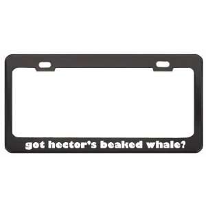 Got HectorS Beaked Whale? Animals Pets Black Metal License Plate 