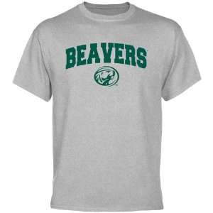 Bemidji State Beavers Ash Logo Arch T shirt  Sports 