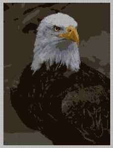 Bald Eagle Needlepoint Canvases  