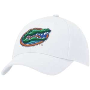  Nike Florida Gators White Swoosh Flex Fit Hat Sports 