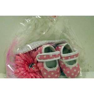   Gerber Daisy Baby Girl Beanie and Bootie Gift Set 