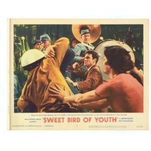  Sweet Bird of Youth   Movie Poster   11 x 17