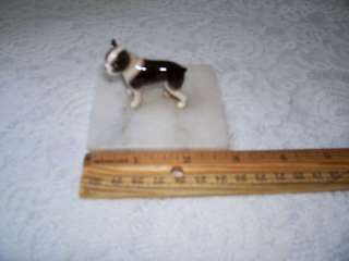 Miniature Boston Terrier Dog Puppy on Marble Tile Base  