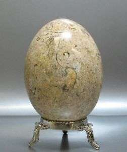 Big Fossil Stone Egg with Display Stand  