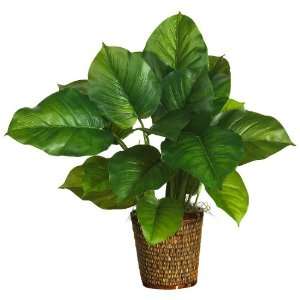  Philodendron Silk Plant (Real Touch) Green Colors   Silk Plant Home