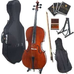   Soft Case, Bow, Rosin, Bridge, Strings and Stand Musical Instruments