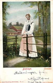 1904 Picture Postcard Cross Fork PA.   323, Made In Sweden Postcard 