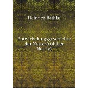  Entwickelungsgeschichte der Natter(coluber Natrix 