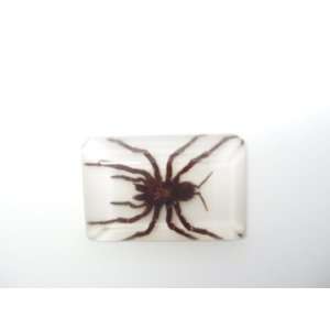  Tarantula Paperweight (White)